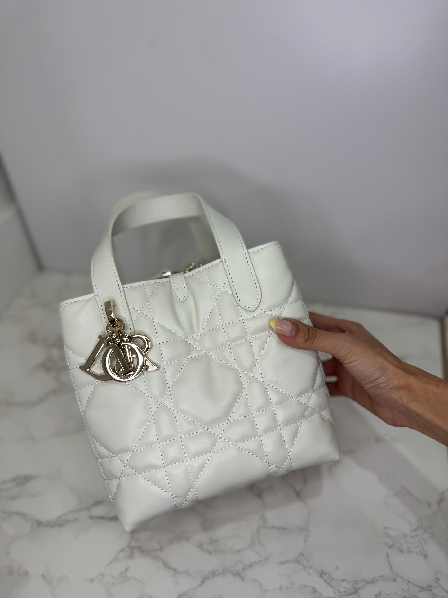 Dior Picotin