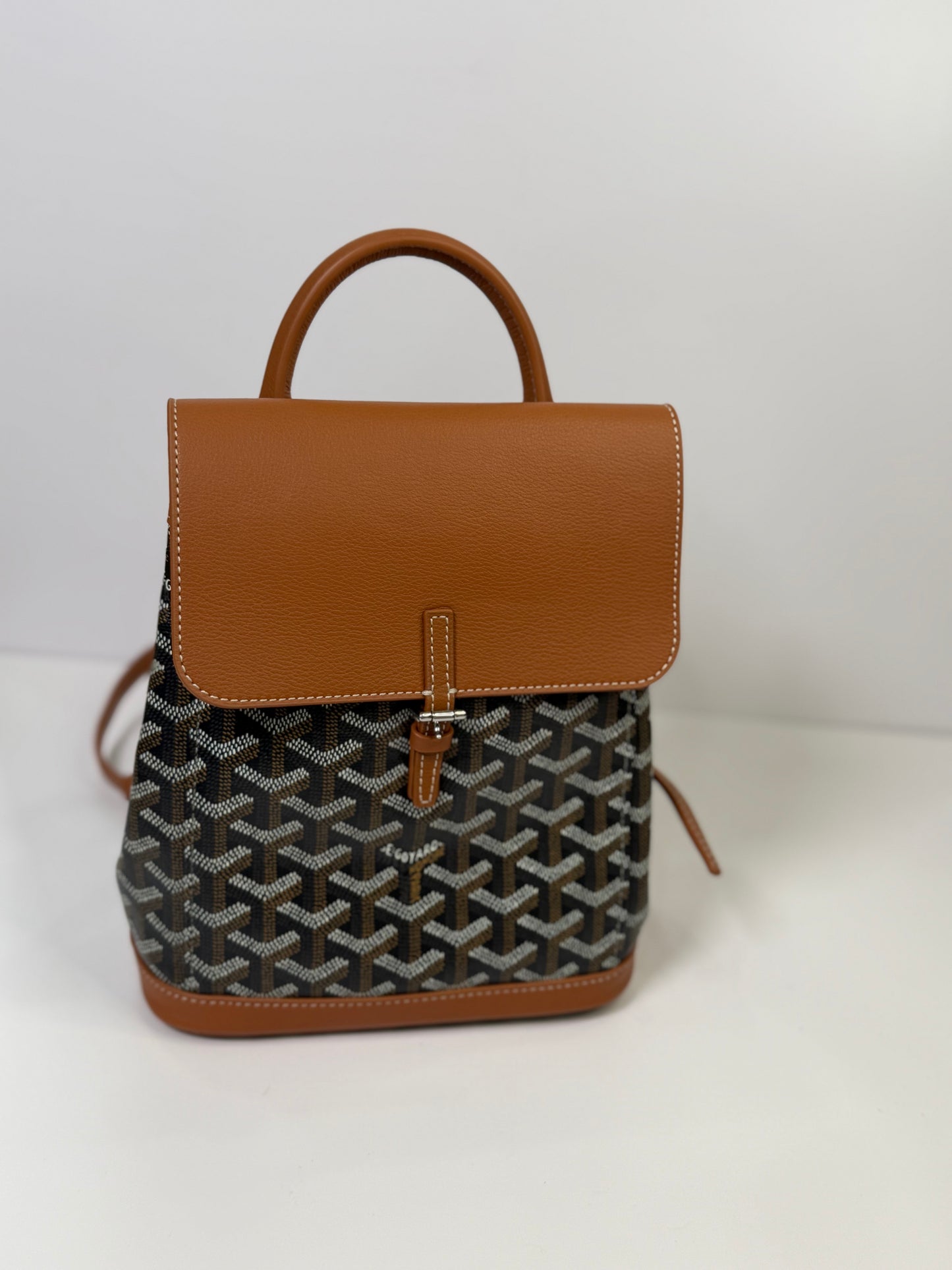 Goyard back back
