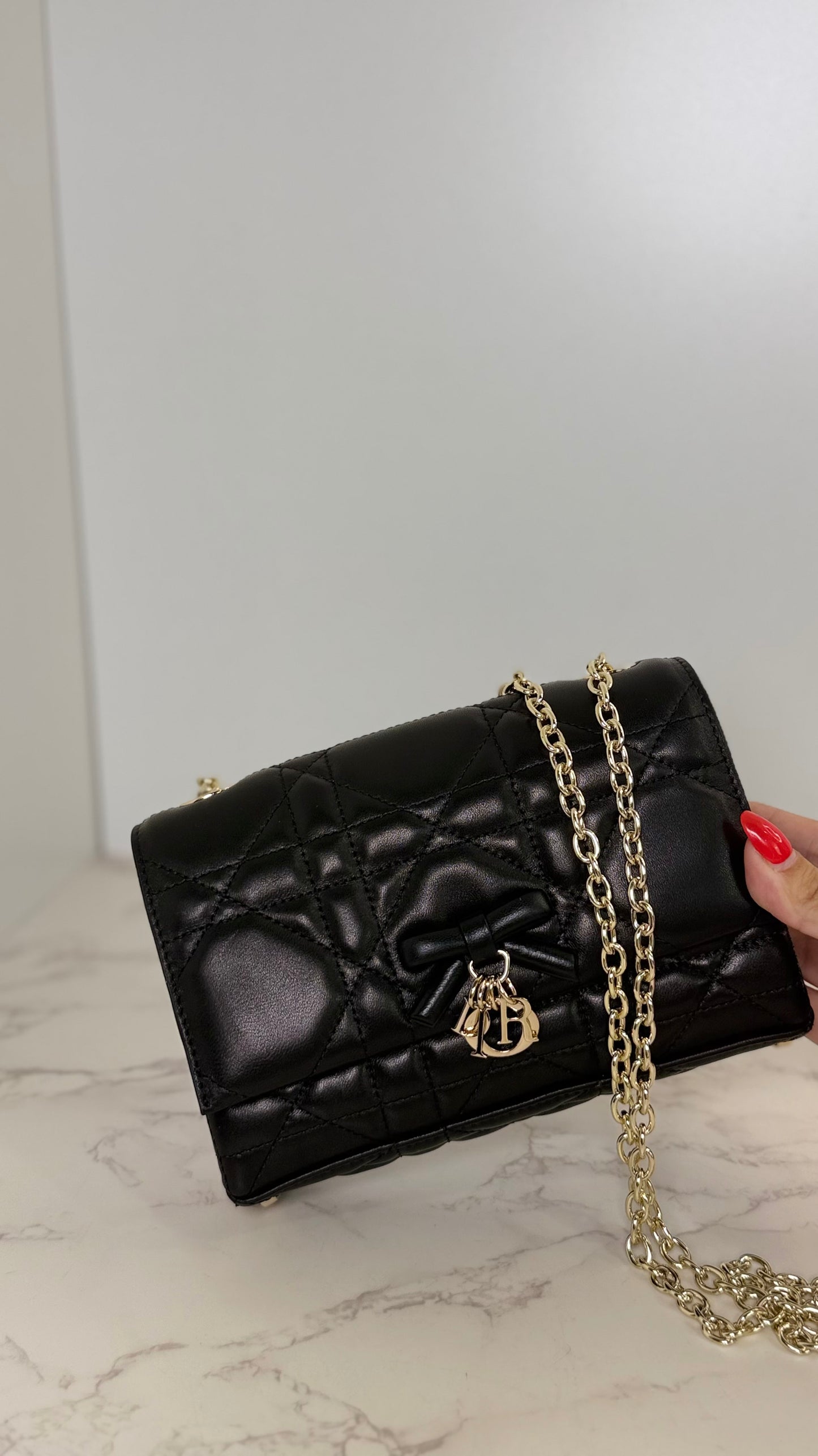 CD mini crossbody