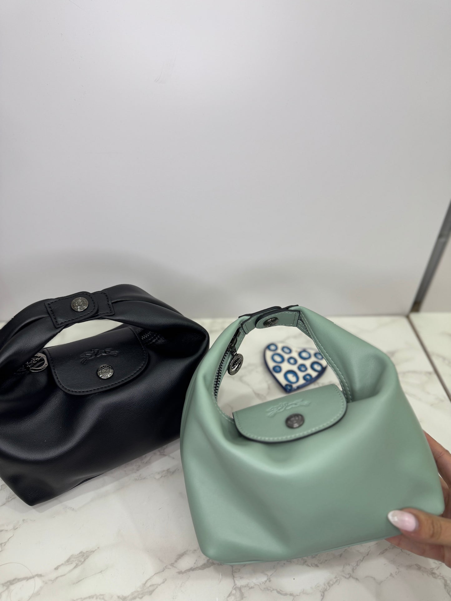 Longchamp pouch