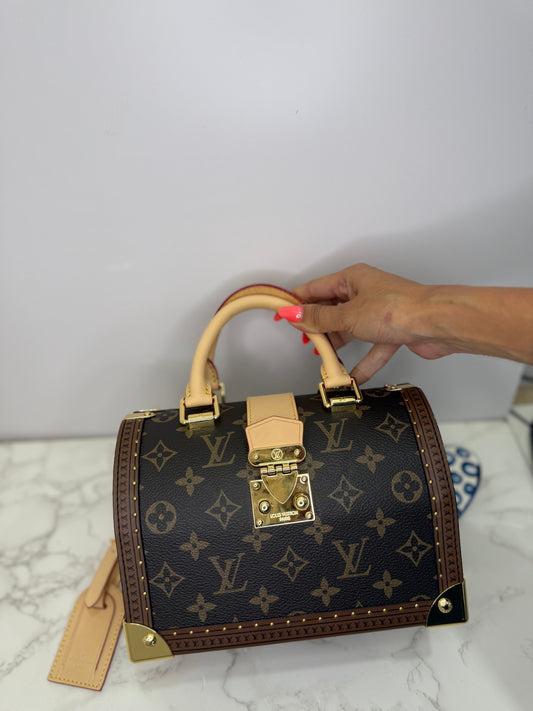 Trunk purse