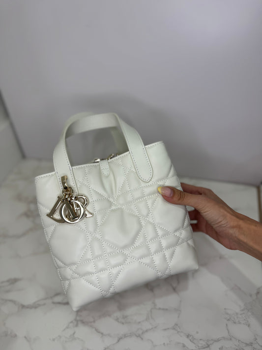 Dior Picotin