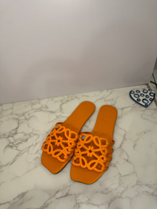Loewe slides
