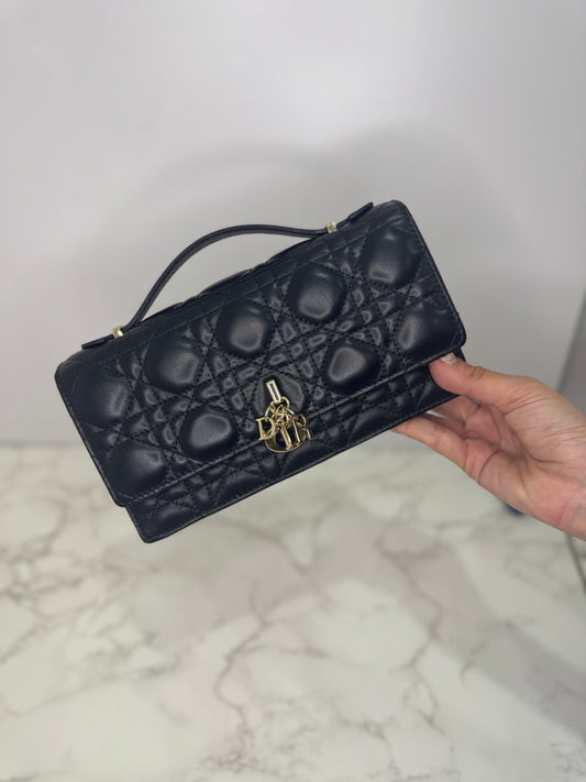 Top handle dior