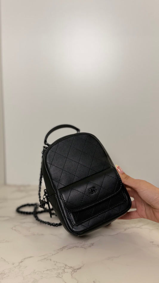 CC Mini Matte Backpack