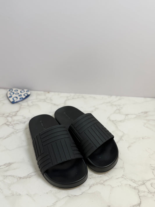 BV slides