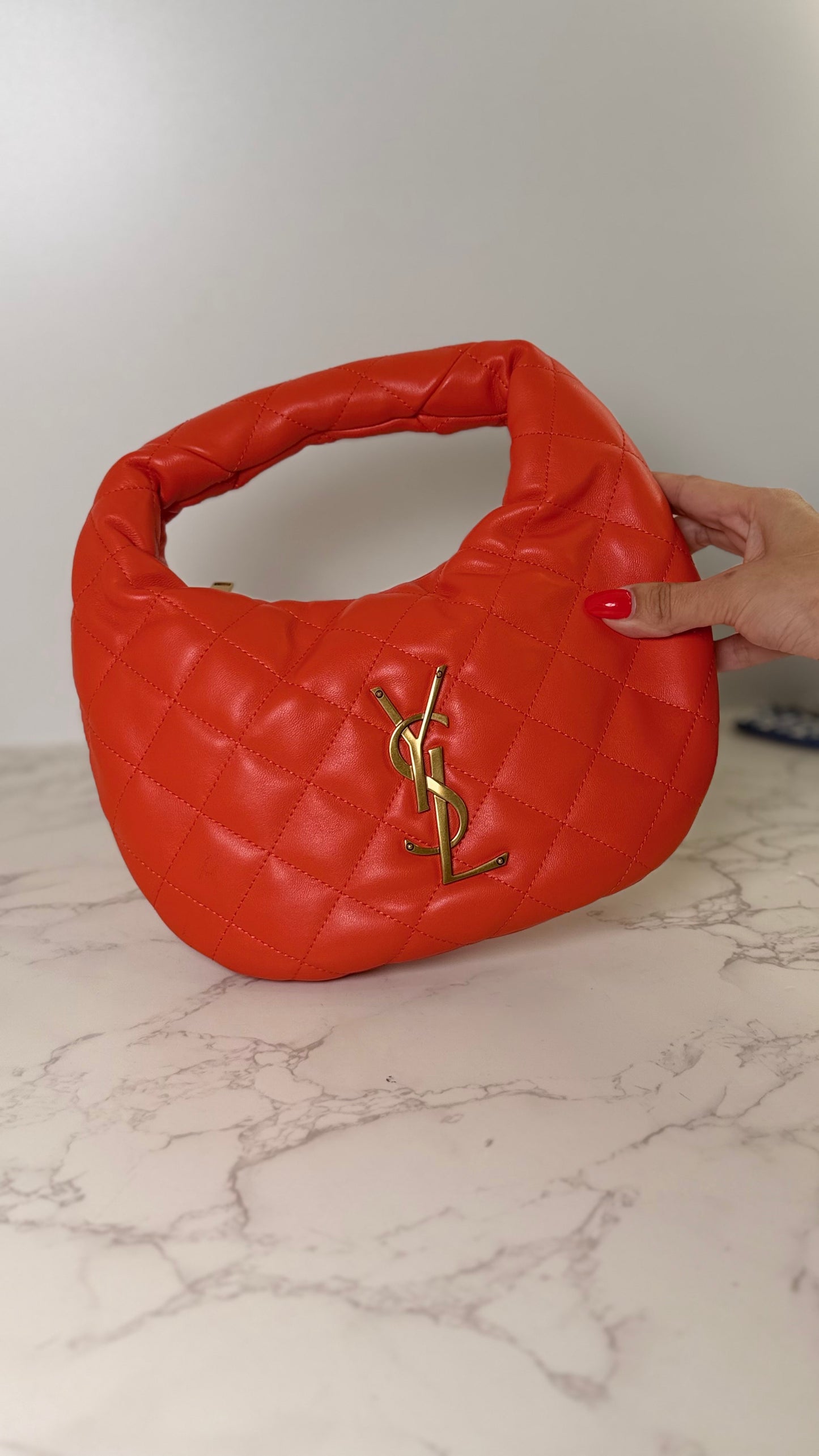 YSL Pouch