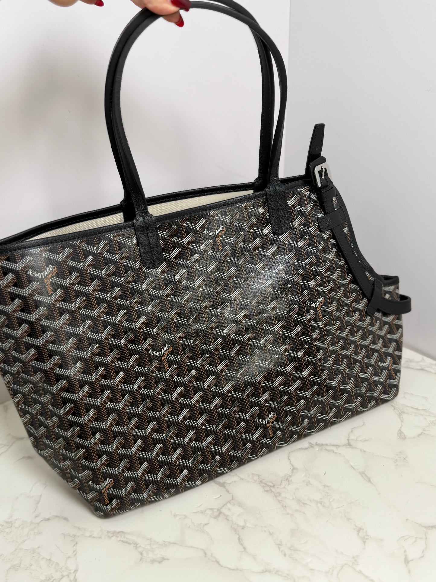 Dog Goyard