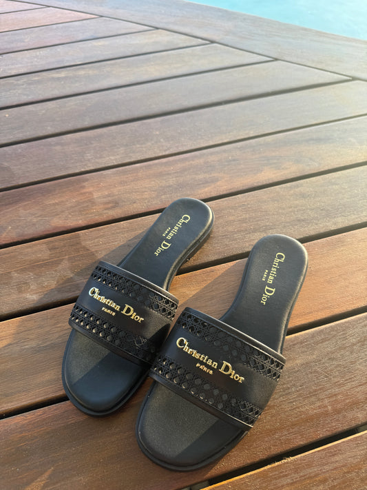 Dior slides