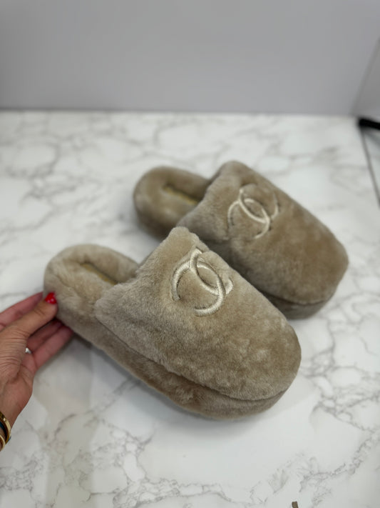 (Copy) Fur slides