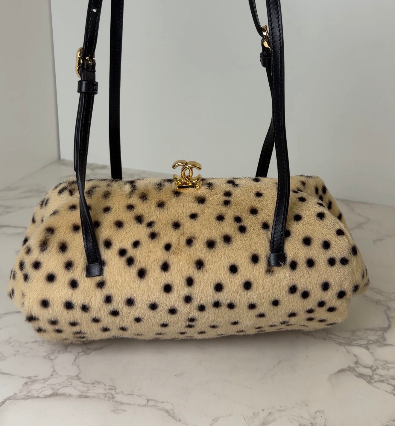 Cc pony hair Dalmatian