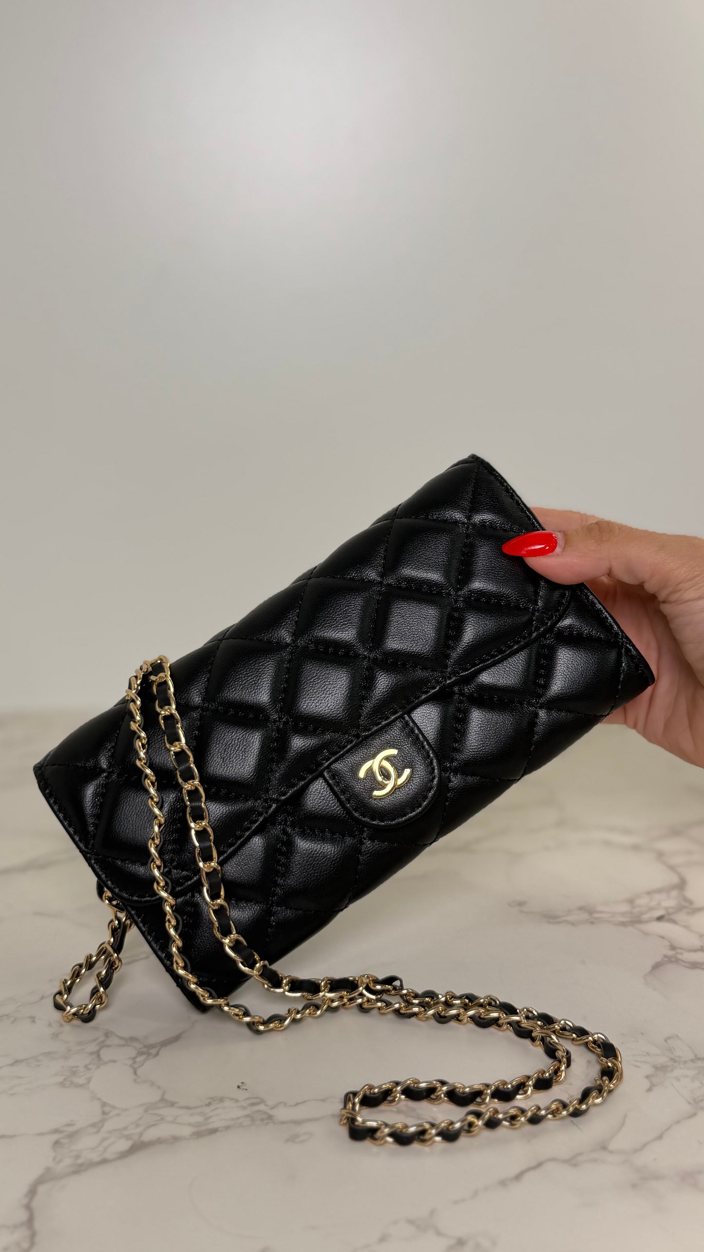 CD Lady Dior
