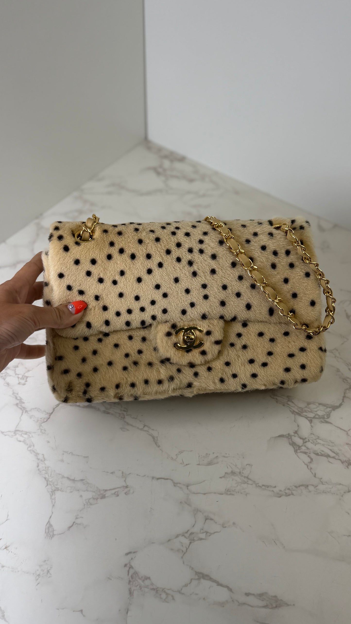 Cc pony hair Dalmatian