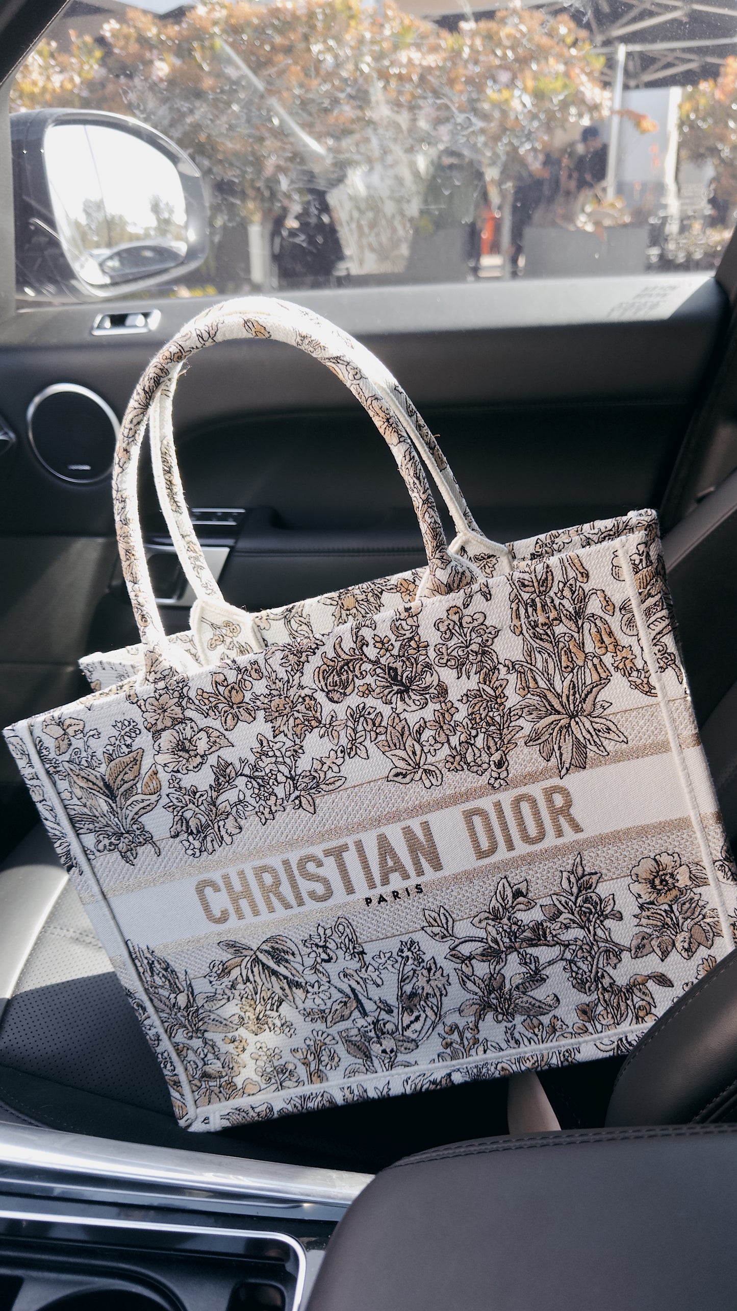 (Copy) (Copy) Book tote